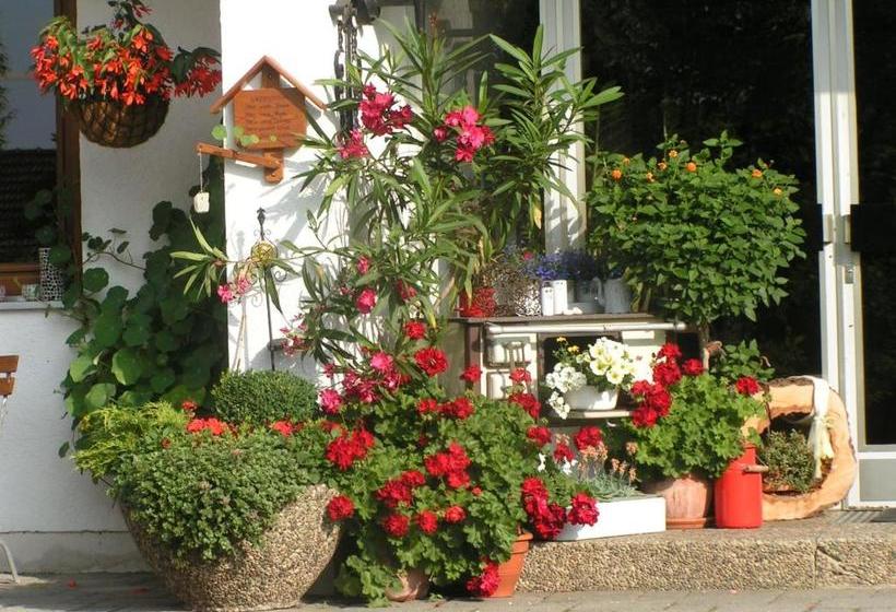 Pension Zum Ebenstein Am Donausteig