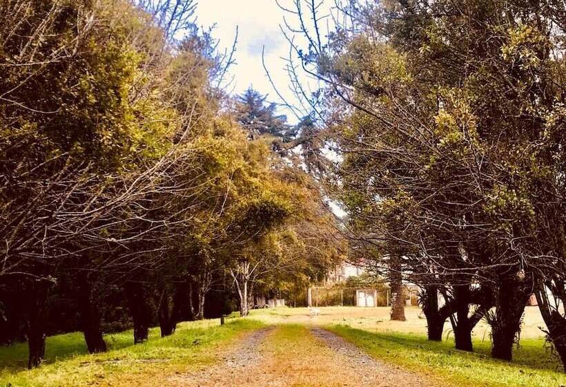 هتل Platanus