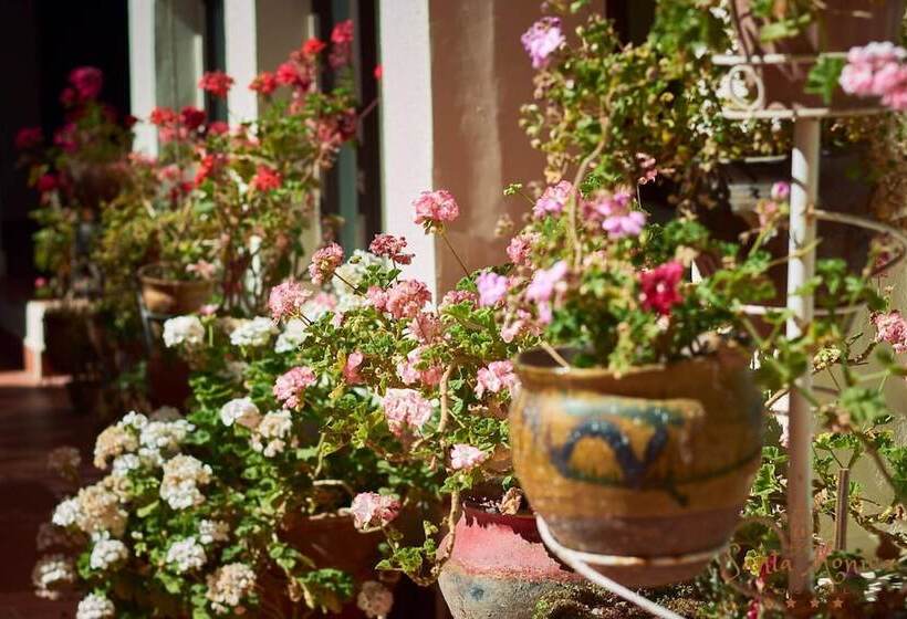 هتل Santa Mónica