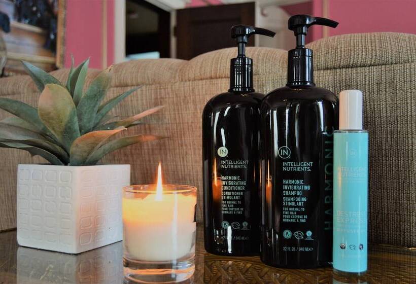 تختخواب و صبحانه 300 Clifton