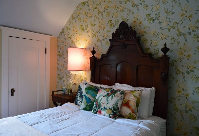 تختخواب و صبحانه 300 Clifton