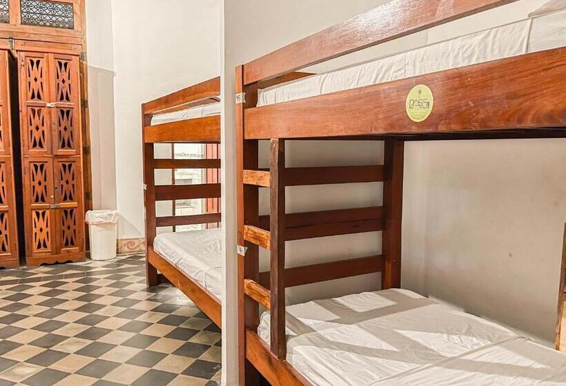 پانسیون Oasis Hostel
