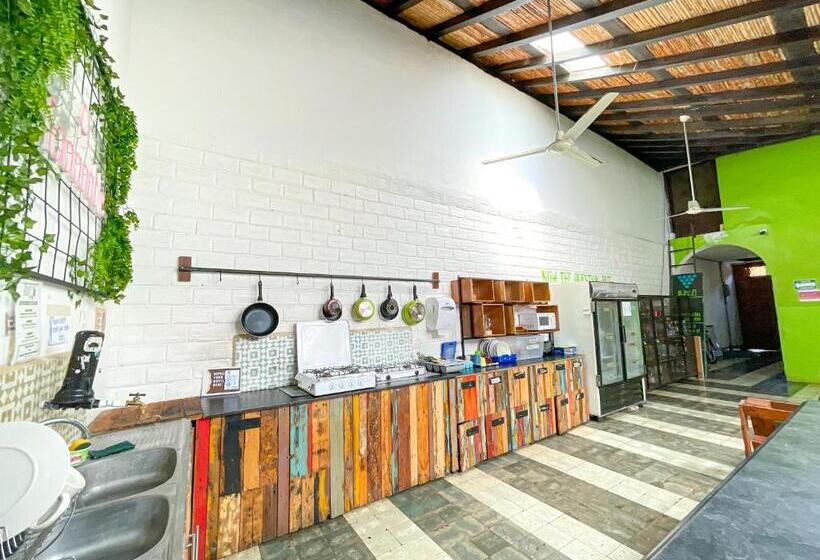 پانسیون Oasis Hostel