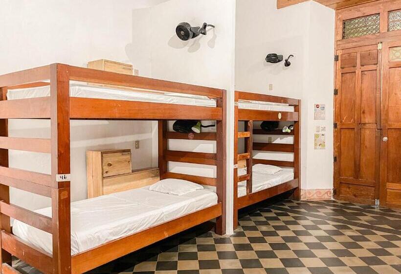 پانسیون Oasis Hostel