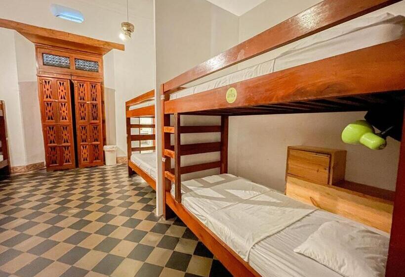 پانسیون Oasis Hostel