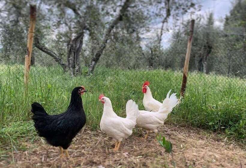 فندق Agriturismo L'antica Fornace
