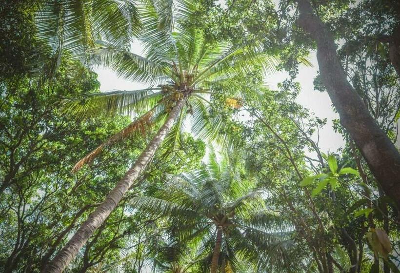 Hotel Prabhukrupa Tourist Farm