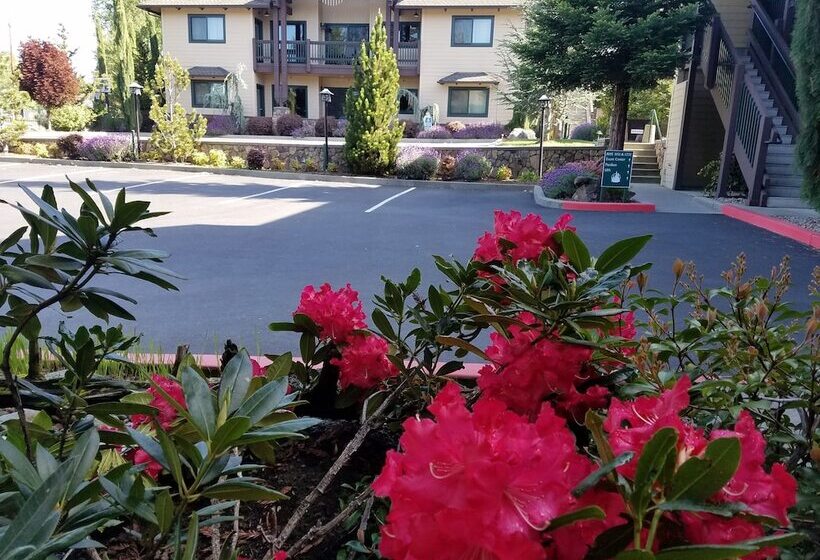 Мотель Redwood Hyperion Suites