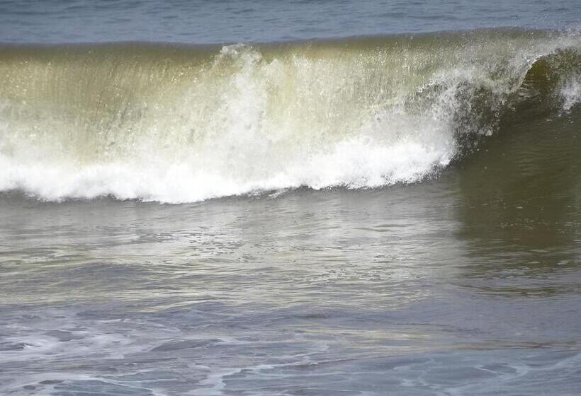 تختخواب و صبحانه Amssler Beach Stay