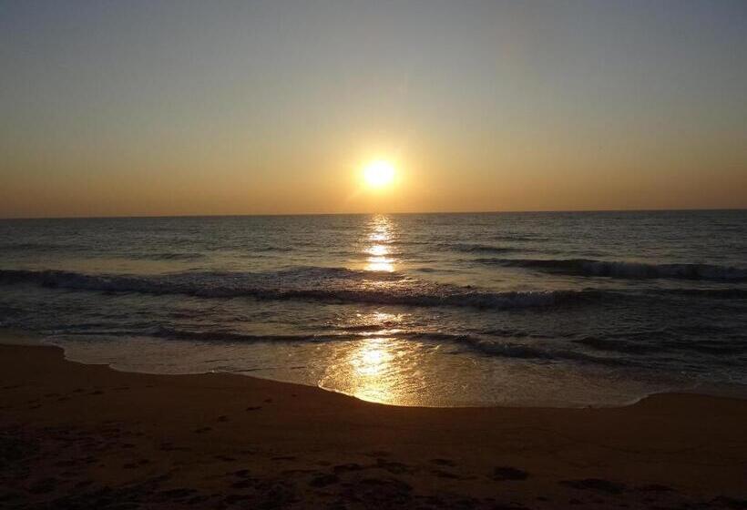 تختخواب و صبحانه Amssler Beach Stay