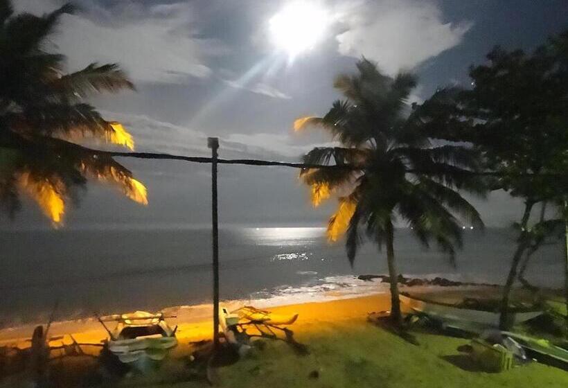 تختخواب و صبحانه Amssler Beach Stay