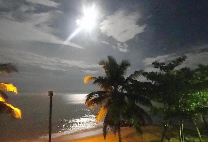 تختخواب و صبحانه Amssler Beach Stay