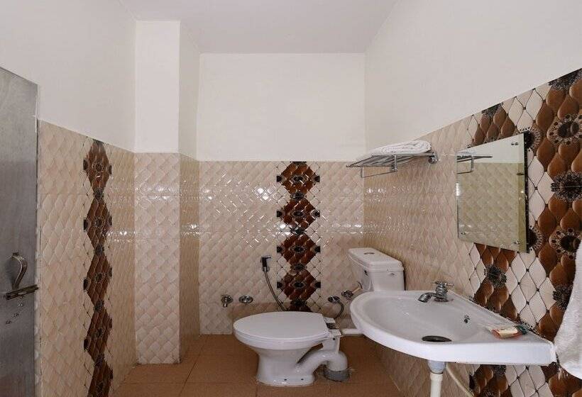 Fotos del hotel Oyo 12193 Sandhya:  10