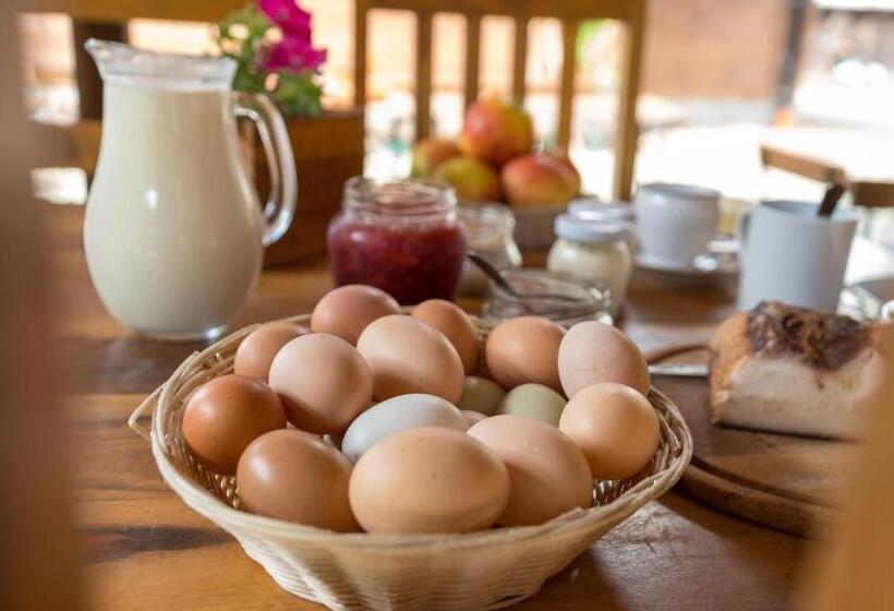 هتل Statek U Rajmunda