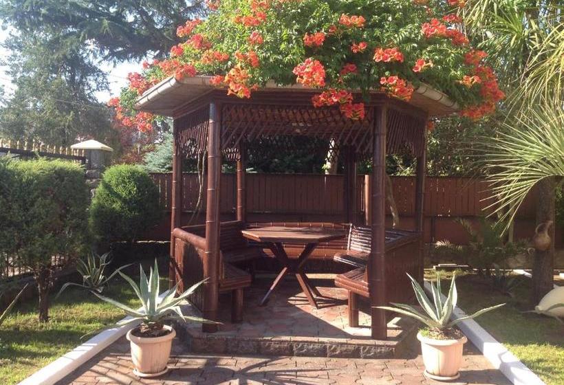 پانسیون George's House