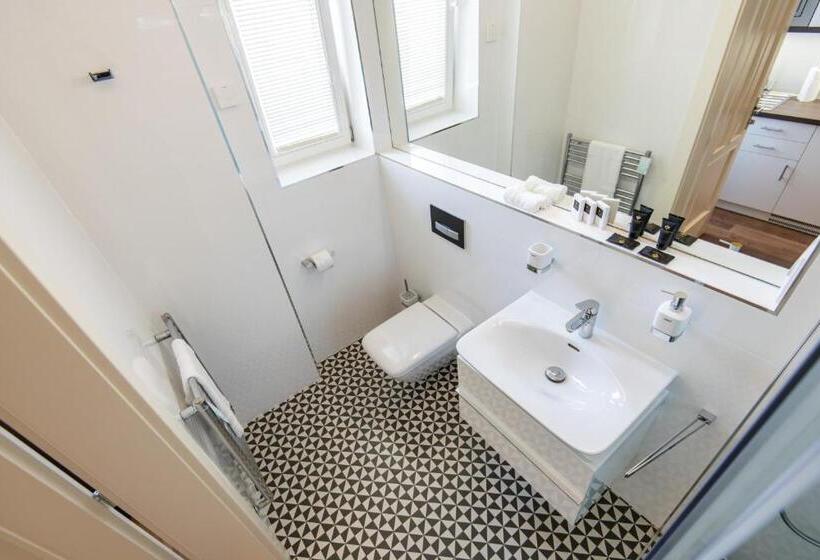 بنسيون Penzion Vila Slavia