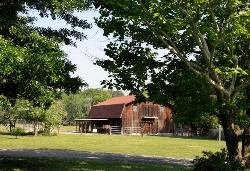민박 Dublin Farm