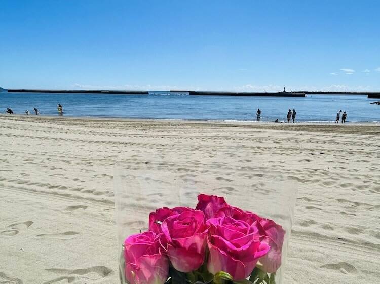 پانسیون Hostel And Cafe Izu No Umi