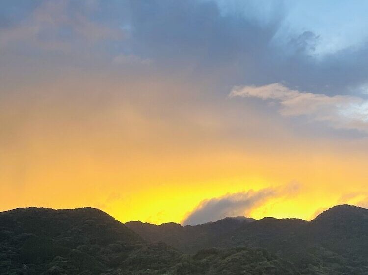 پانسیون Hostel And Cafe Izu No Umi