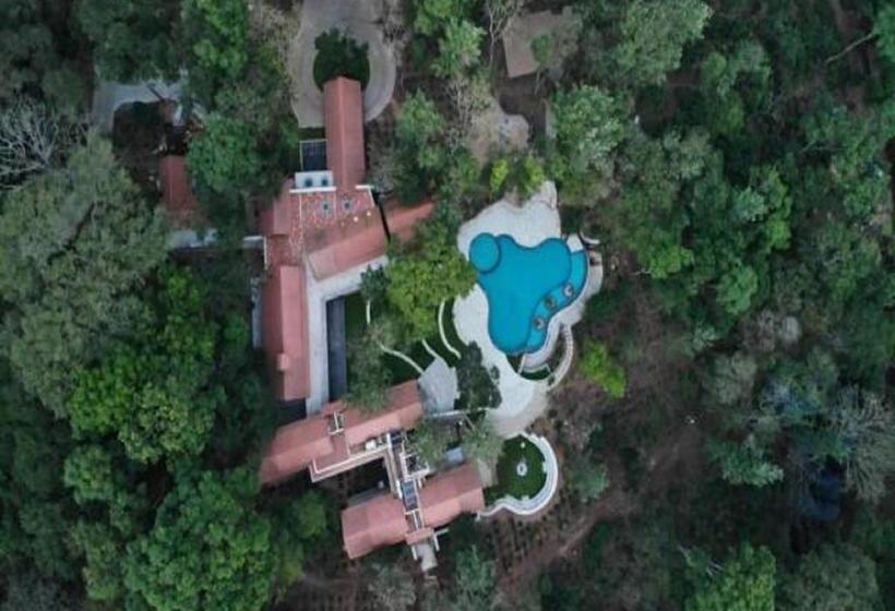 渡假胜地  The Birchwood Retreat, Madikeri