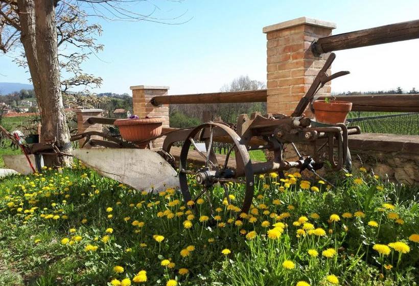 تختخواب و صبحانه Terre Boscaratto