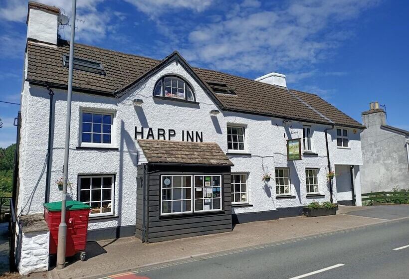 הוסטל The Harp Inn