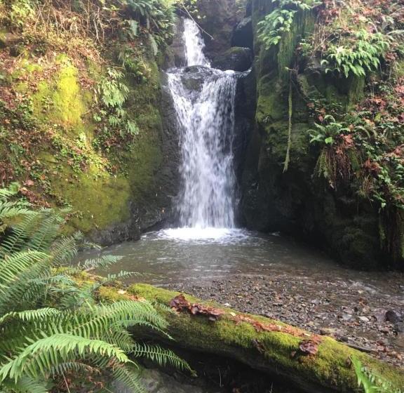 צימר Taylor Creek Lodge