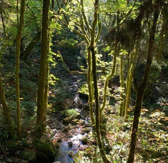 צימר Taylor Creek Lodge