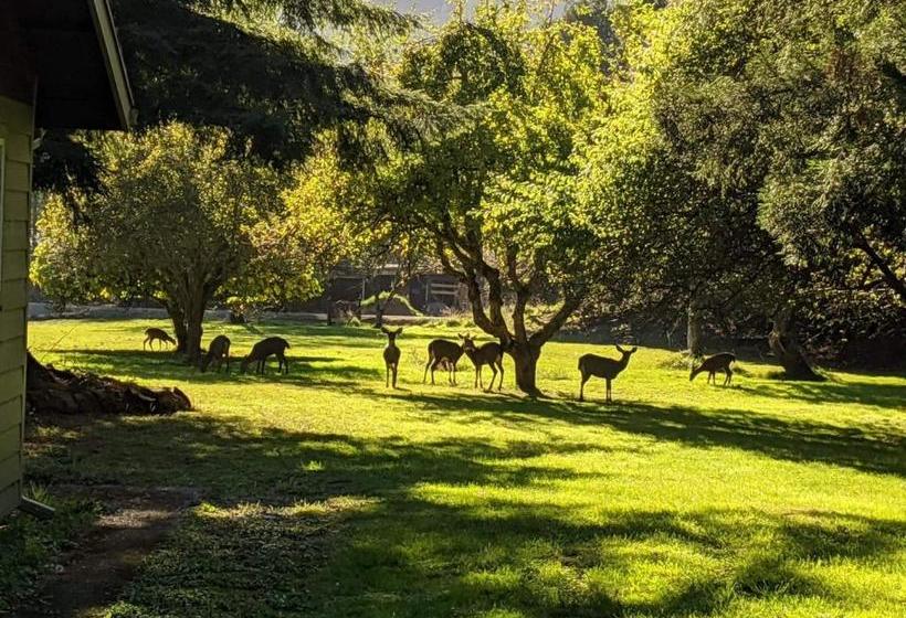 مبيت وإفطار Taylor Creek Lodge