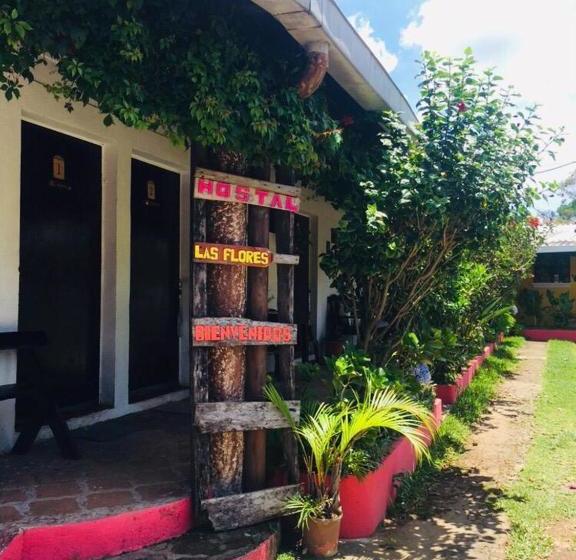 پانسیون Hostal Las Flores Apaneca