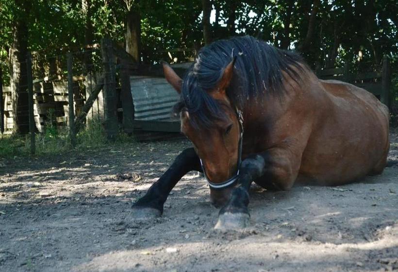 بنسيون La María