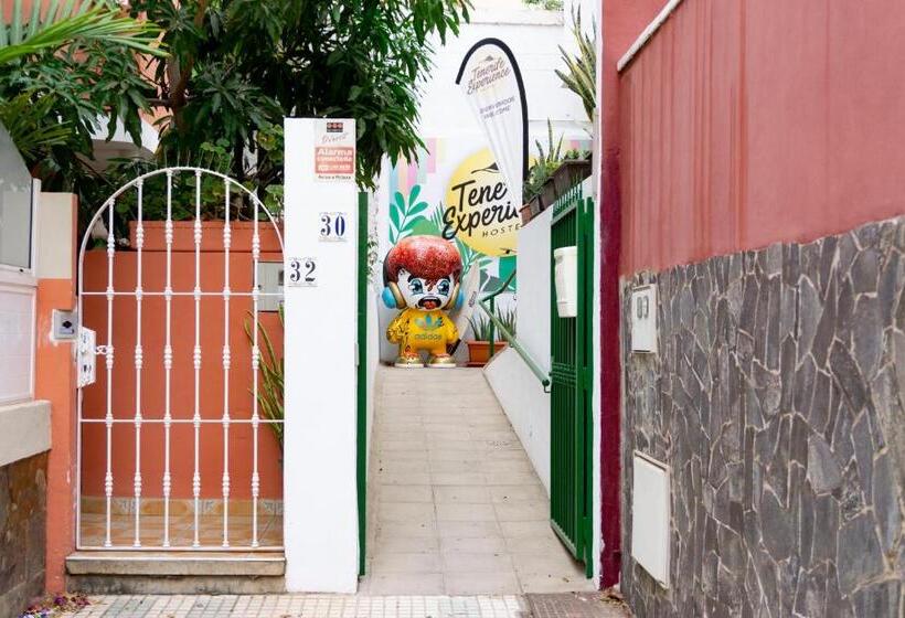 پانسیون Tenerife Experience Hostel