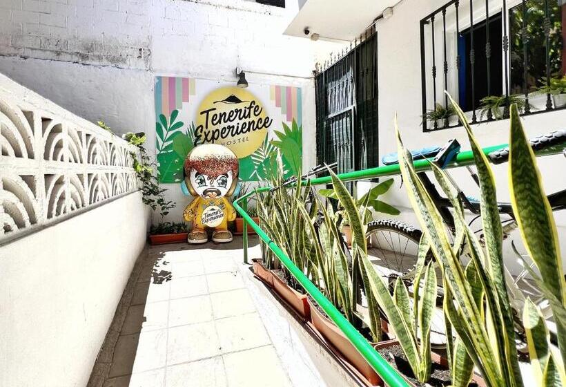 Pension Tenerife Experience Hostel