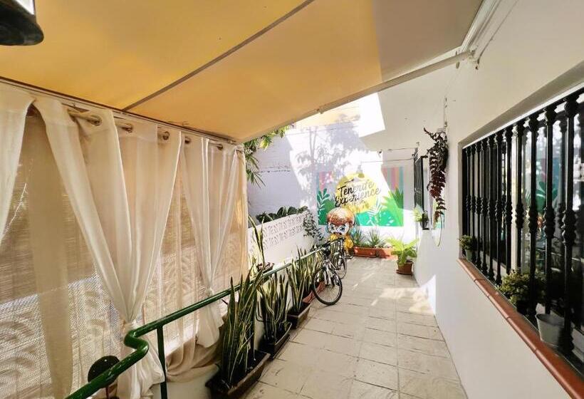 پانسیون Tenerife Experience Hostel