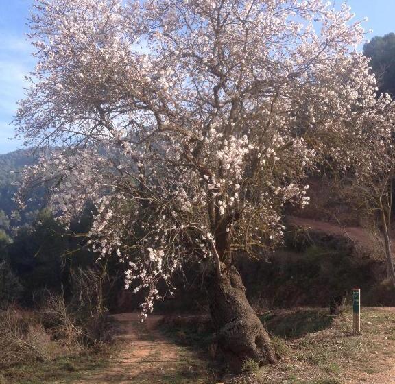 بنسيون Masia Casajoana Rural