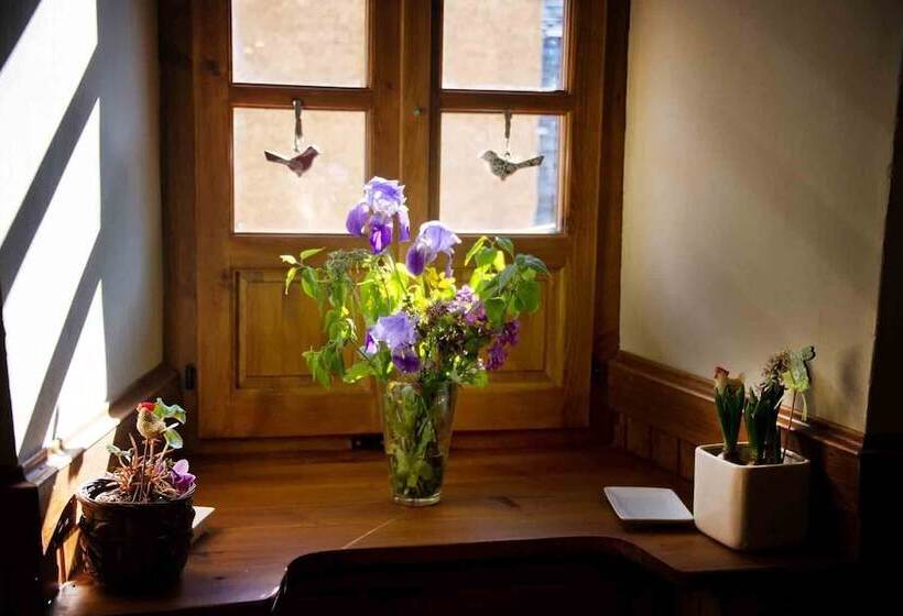 بنسيون Casa Helipa