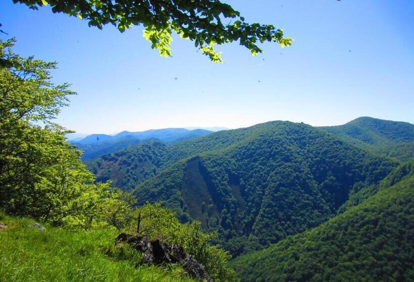 بنسيون Matxitxulo Family Rooms