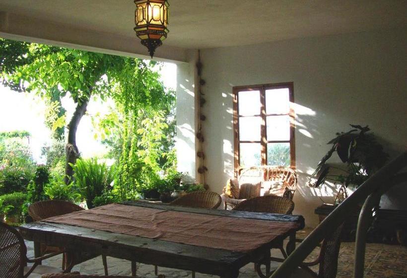 بنسيون Viña Y Rosales