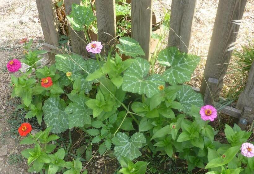 پانسیون Monte Das Beatas   Alojamento Local