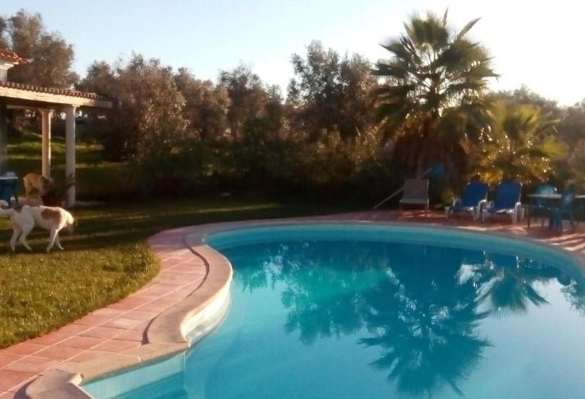 پانسیون Monte Das Beatas   Alojamento Local