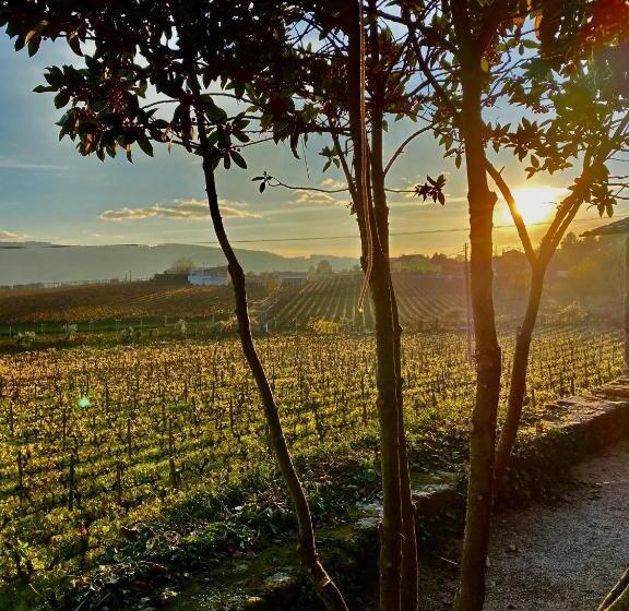 هتل Casa Dos Barros Winery Lodge By Vintage Theory