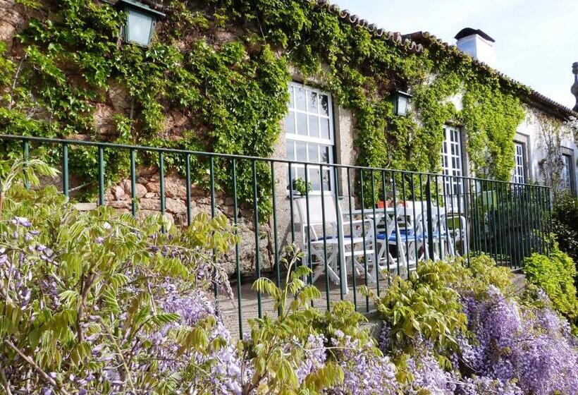 هتل Casa Dos Barros Winery Lodge By Vintage Theory