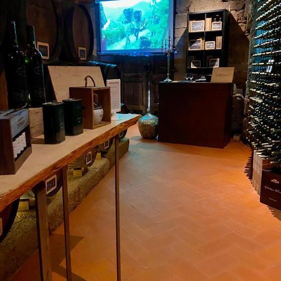 هتل Casa Dos Barros Winery Lodge By Vintage Theory