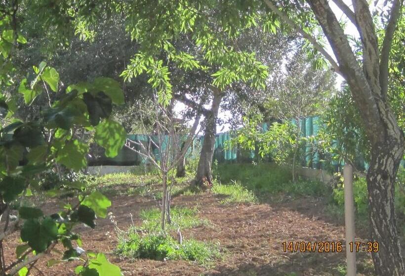 پانسیون Quinta Da Fonte Em Moncarapacho
