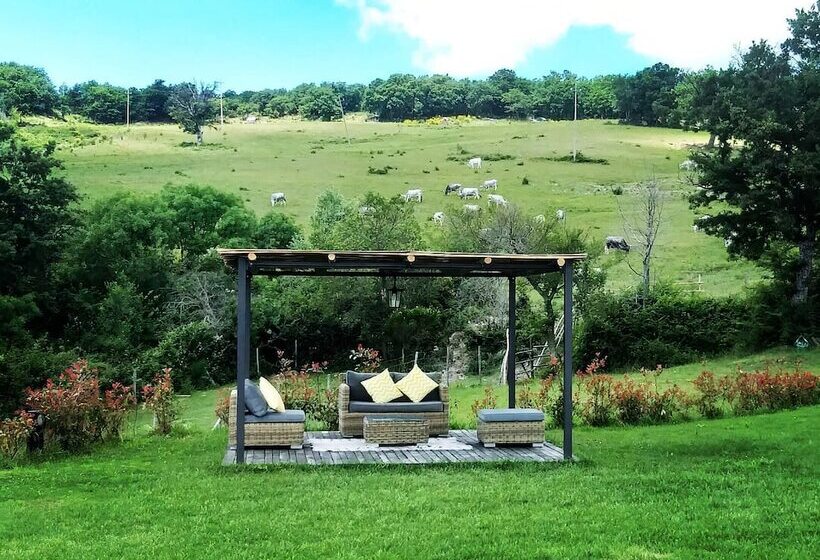 호텔 Terre Di Giorgio Agriturismo Villa La Palazzetta