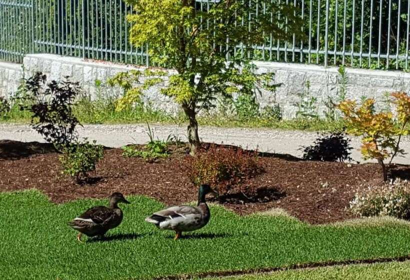 فندق Masetto Egidio Agritur