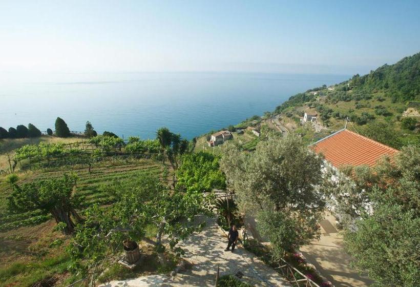 فندق Sopra Il Limoneto