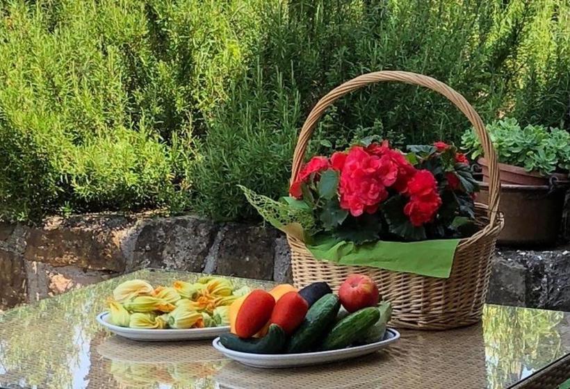 پانسیون Affittacamere Cigui