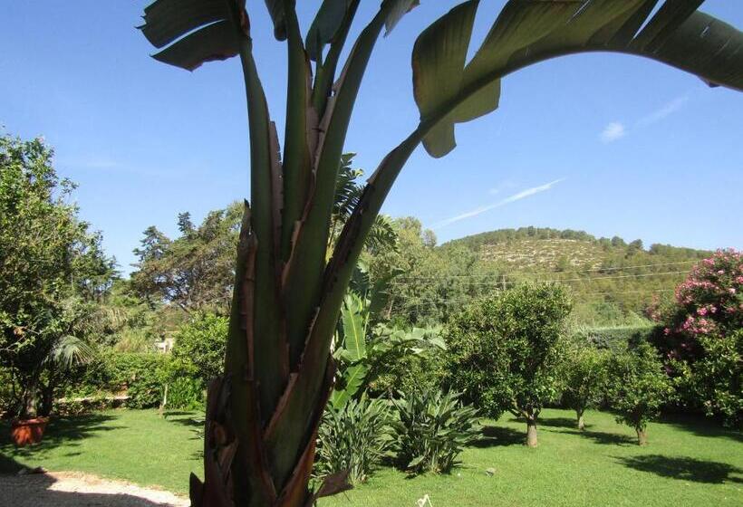 پانسیون Arenosu Comfort Country Resort