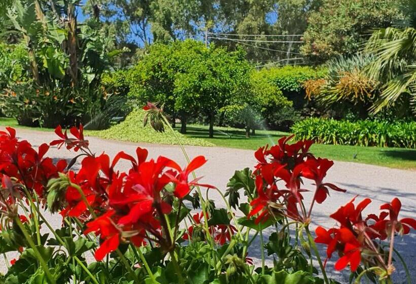 پانسیون Arenosu Comfort Country Resort